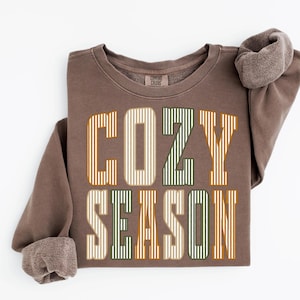 May include: A brown crewneck sweatshirt featuring the text COZY SEASON in a vertical striped font. The letters alternate between shades of orange, cream, and olive green. The garment has a ribbed collar and cuffs with a visible interior fleece lining.