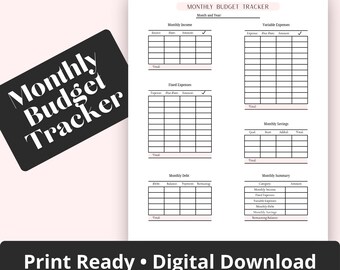 Pink Monthly Budget Tracker, Blush Pink Finance Planner, Digital PDF Printable, 3 sizes, Goodnotes