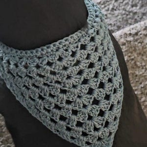 Peut inclure: Un bandana pour chien en crochet bleu clair. Le bandana est de forme triangulaire et présente un motif de point ajouré. L'article est présenté sur une surface sombre, peut-être le cou d'un chien.