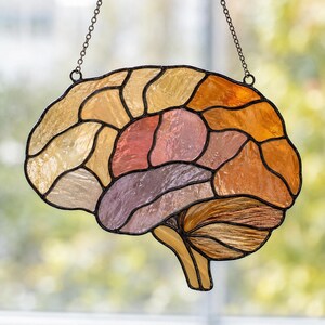 Può includere: Un acchiappasole in vetro colorato a forma di cervello umano, caratterizzato da vari segmenti di vetro testurizzato nelle tonalità ambra, arancione, rosa e viola, tenuti insieme da linee di saldatura in metallo scuro e appeso a una sottile catena.