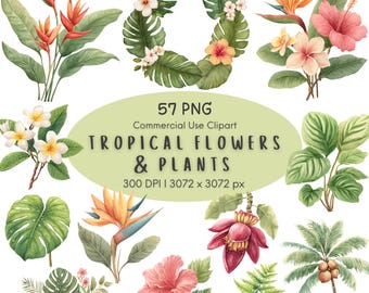 May include: A collection of watercolor tropical flowers and plants including hibiscus, bird of paradise, palm trees, and monstera leaves. The central text reads 57 PNG Commercial Use Clipart TROPICAL FLOWERS & PLANTS 300 DPI | 3072 x 3072 px.