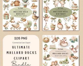 May include: A collection of watercolor clipart featuring mallard ducks, including nursery and birthday themes. The set includes various ducks, accessories, and the text "Ultimate Mallard Ducks Clipart Bundle".