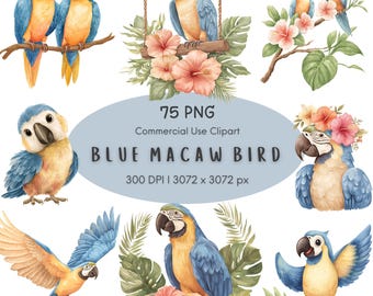Blue Macaw Clipart PNG, Blue Gold Parrot Watercolor Tropical, Parrot Bird Bundle Commercial Use Digital Download