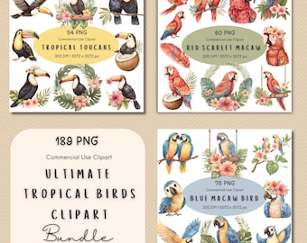 May include: A digital clipart bundle featuring watercolor illustrations of tropical birds including toucans, red scarlet macaws, and blue macaws. The collection includes text labels such as Tropical Toucans, Red Scarlet Macaw, Blue Macaw Bird, and Ultimate Tropical Birds Clipart Bundle.