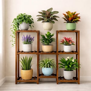 May include: A wooden plant stand with nine potted plants. The plants have green, red, and purple foliage. The pots are in various colors, including white, beige, and blue. The stand is made of dark brown wood.