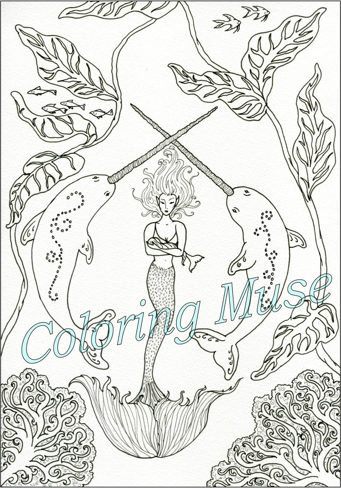 5000 Top Coloring Pages Narwhal Pictures