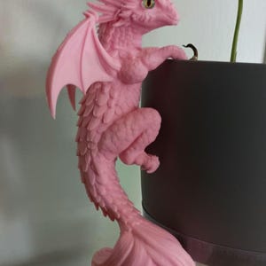 Dragon plant hugger 3D Printable STL File