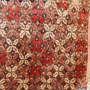 May include: Close-up of a patterned rug with a brown and red floral design. The rug has a fringe of light blue tassels along the bottom edge. The rug's pattern includes red and cream-colored floral shapes.