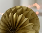 Il_170x135