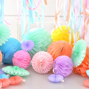 Party Paper honeycomb and pom pom set | Birthday decorations | baby shower decor