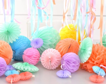 Party Paper honeycomb and pom pom set | Birthday decorations | baby shower decor
