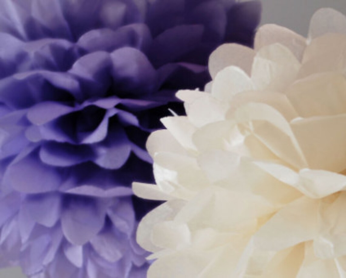 25 Different Colours Large Paper Pom Poms Set Etsy