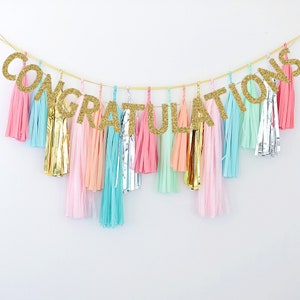 Personalized Paper Tassel Garland - Colorful Fringe Banner with Gold letters, Custom Graduation Party Decor, Graduation Ceremony Backdrop