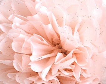 Rose gold on blush tissue paper pompom | Wedding party decorations