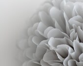 Il_170x135