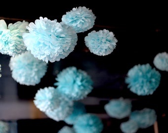 Large Tissue Paper Pom Pom Set: Party & Nursery Decor