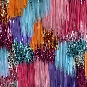 Custom color Fringe wall Backdrop, Photo Wall, Streamer Wall, party Decorations, Rainbow Colour Backdrop Party Disco Streamer Backdrop