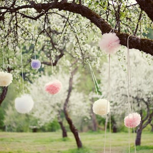 Set di 30 pompon di carta velina, decorazioni per feste personalizzate, festa in giardino, baby shower, festa di rivelazione del sesso, decorazioni per addio al nubilato