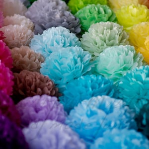 Set di decorazioni per feste con pompon di carta da 60 pezzi, decorazioni per feste sostenibili COLORI PERSONALIZZATI Fiori di carta, decorazioni per feste di compleanno e matrimonio
