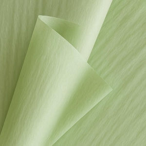 Fogli di carta velina Willow Green – Carta da regalo e articoli per bricolage riciclati al 100%, senza acidi ed ecologici (20x30") - verde chiaro