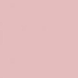 May include: A solid, uniform square field of light dusty pink color. The surface displays a consistent, flat matte texture without any patterns, gradients, shadows, or additional design elements. The entire image is filled with this single shade.