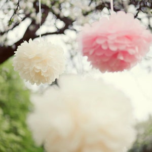Pom pom di carta velina, set di decorazioni per feste da 25 pezzi, colori personalizzati, misure miste, decorazioni boho per matrimoni, baby shower, feste di compleanno, papae flowers
