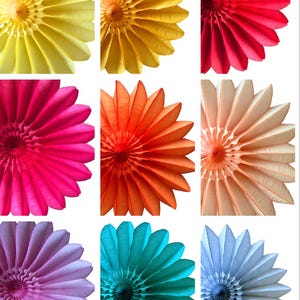 Grandi ventagli di carta da 26”/67 cm di diametro - colori vivaci - decorazioni per feste in carta - decorazioni ecologiche per feste di compleanno e matrimonio