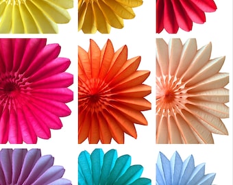 Large paper fans 26”/67cm diameter- bright colours -paper party decorations - eco friendly party decor  wedding birthday party decorations