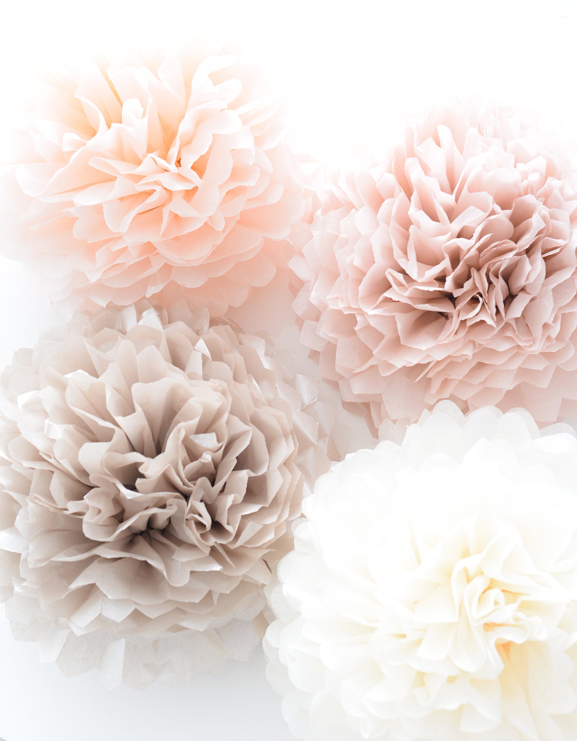 Blush tissue paper Pom Poms set of 10 mixed size Pastel Etsy