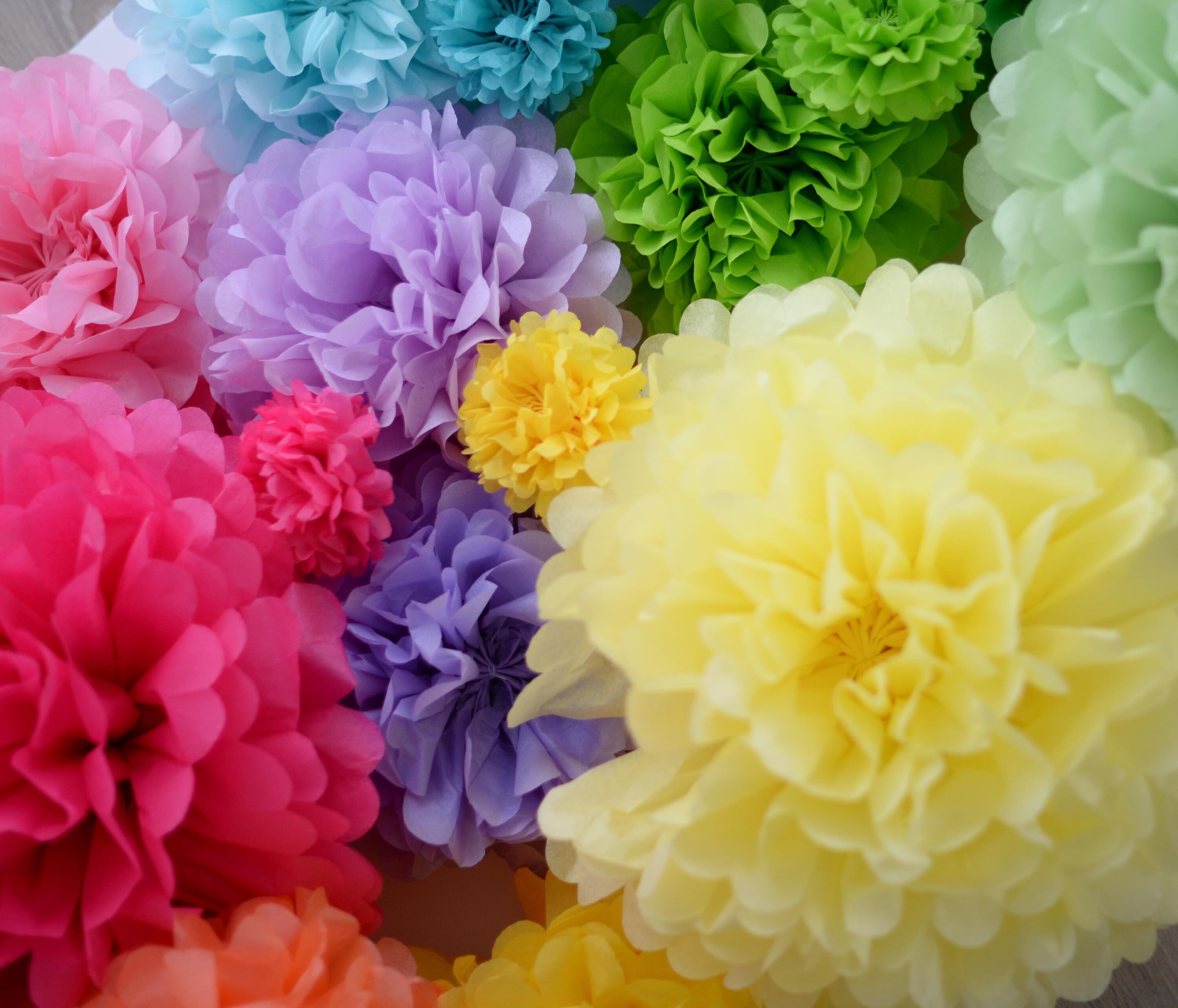 Custom Color Paper Pom Pom: 10