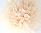 Il_170x135