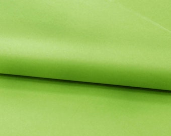 Puede incluir: Una hoja de papel de seda de color verde lima claro con una textura suave y mate. El papel está doblado sobre sí mismo, creando un pliegue curvo y suave que atraviesa horizontalmente el centro, mostrando un color sólido y vibrante.