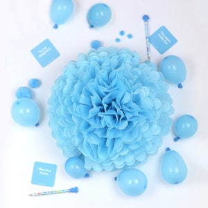 Decorazioni per feste con pompon di carta blu cielo Decorazioni per baby shower Fiori di carta Decorazioni per eventi per matrimoni Addio al nubilato Feste ecologiche