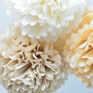 Set di decorazioni per feste con pompon di carta neutri beige, 10/12/16, decorazioni per feste di compleanno e matrimonio, fiori di carta, decorazioni ecologiche