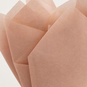 Mocha Tissue Paper Sheets 20/50/100 Pack Acid-Free, Light Brown Gift Wrap Paper, 20x30 Inch Large Sheets for Crafts, Gifting, and Packaging