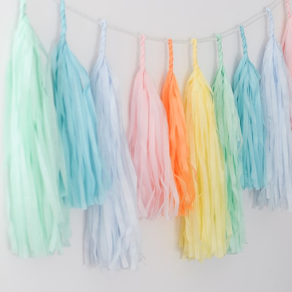 Pastel rainbow  colors Tissue paper tassel garland party decorations FULLY assembled for wedding ice cream unicorn birthday party decor