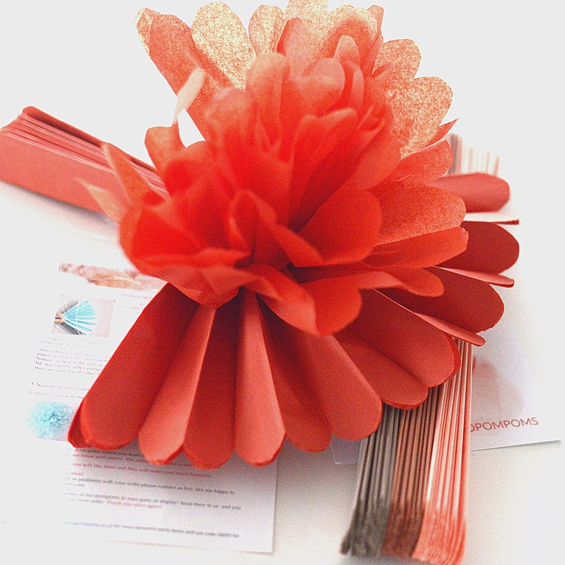 Large Paper Pom Poms Set of 27 Tissue Paper Pom Poms Paper Etsy UK