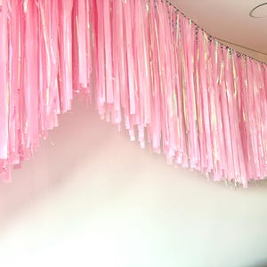 Iridescent Fringe Garland: Handmade Party Photo Booth Backdrop