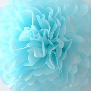 May include: A light blue tissue paper pom pom, a decorative element for parties and events.