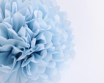 Powder Blue Tissue Paper Pom Pom: Handmade Party Decoration