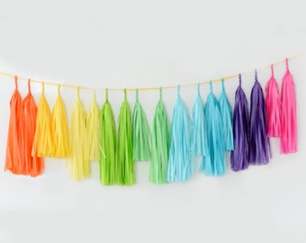 Rainbow paper Tassel Garland party decoration  Fringe Garland for Rainbow Party Decor Birthday Celebration wedding graduation decor