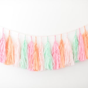 Ghirlanda di nappe di carta color pesca, rosa e menta COMPLETAMENTE PAZZA, non richiede il fai da te / Ghirlanda di compleanno / Ghirlanda con frange / Decorazione per festa di addio al nubilato