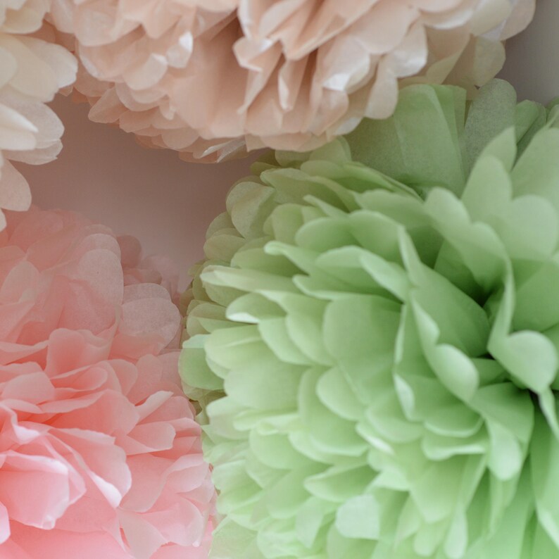 12 Mixed Sizes Tissue Paper Pompoms Tissue Paper Flowers Etsy