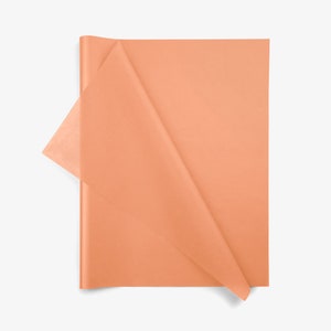 May include: A rectangular sheet of peach-colored tissue paper with a smooth, semi-translucent texture. The paper is folded over at the top left corner, revealing a slightly lighter shade where the material overlaps itself against the flat surface.