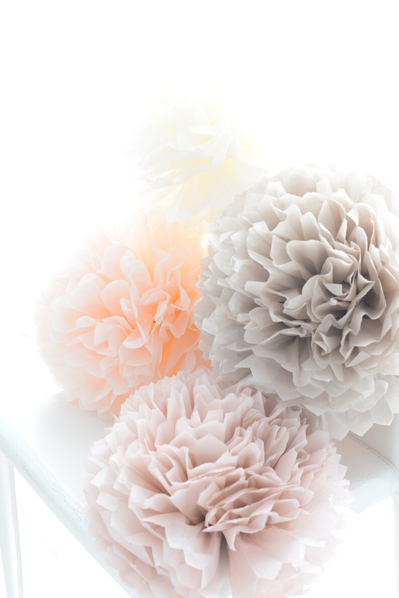 Blush Tissue Paper Pom Poms Set of 10 Mixed Size Pastel Etsy UK