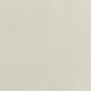 May include: A plain, solid off-white or light cream-colored rectangular surface. The texture appears smooth and uniform across the entire frame, with no visible patterns, markings, objects, or distinct features present on the flat, neutral background.
