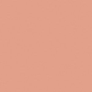 Terracotta Tissue Paper sheets 10 / 20 / 50 sheets 20x30” premium quality gift wrap paper, for Packaging Birthday Gift Wrapping Paper flower