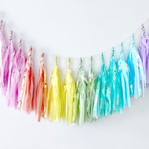 Ghirlanda di nappe di carta arcobaleno pastello iridescente / Ghirlanda di compleanno / Ghirlanda di frange / Decorazione per festa di addio al nubilato / Decorazione per festa di unicorno per bambini