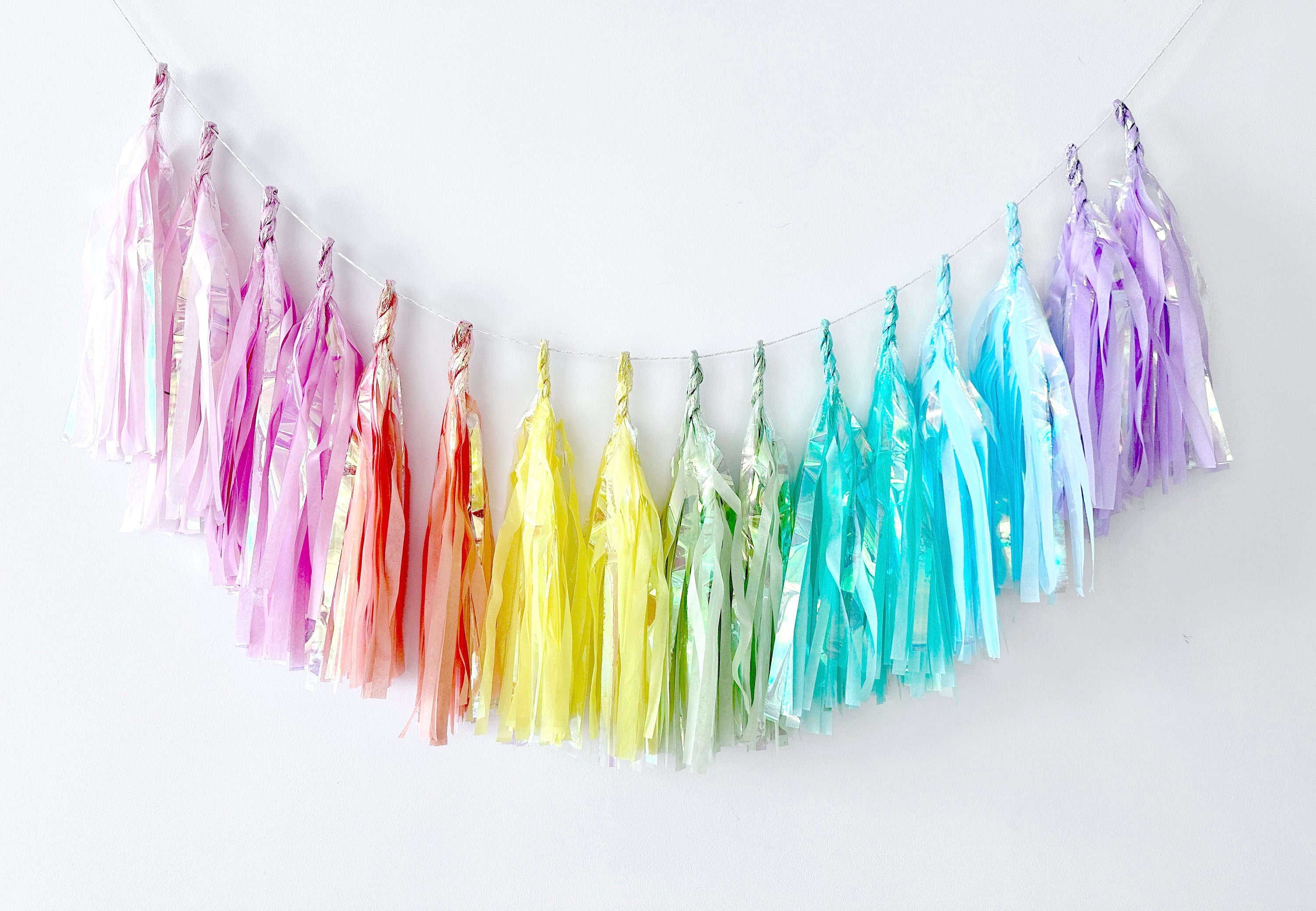 Iridescent  pastel rainbow paper tassel garland | Birthday garland | Fringe garland | Bachelorette party decor | unicorn kids party decor