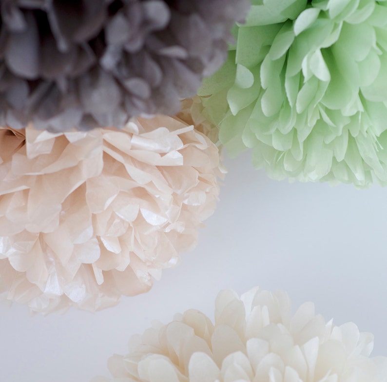 Champagne Paper Pom Pom Set Pastel Party Pom Poms Baby Etsy